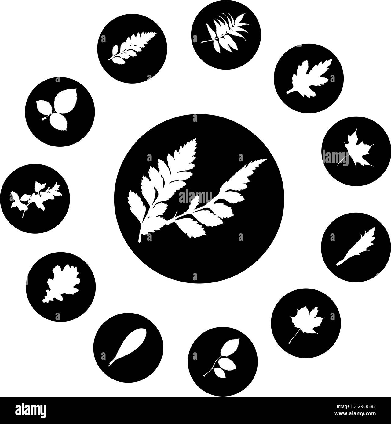 El conjunto de siluetas de hojas, se presenta en forma de 12 botones. Ilustración del Vector