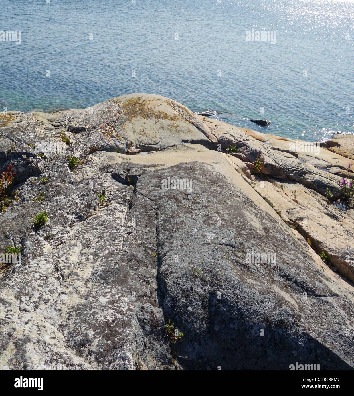 Playa rocosa en el archipiélago en Finlandia Foto de stock