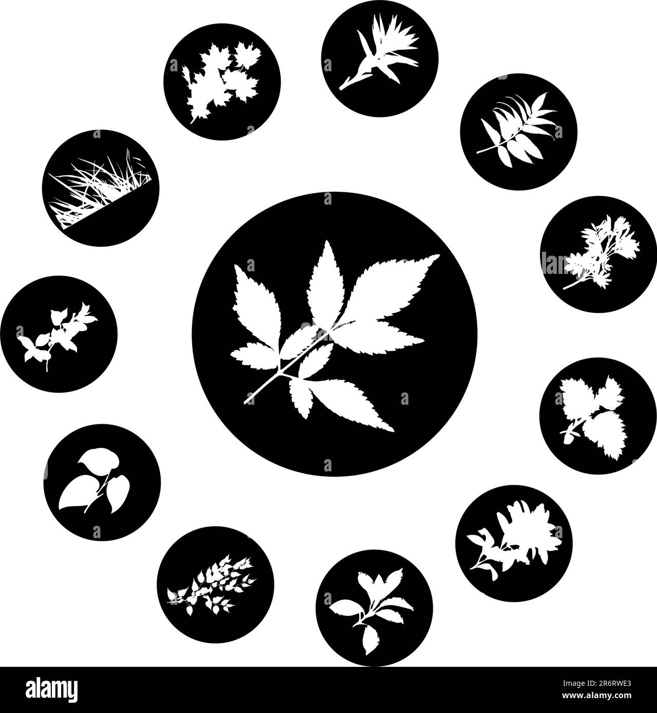 El conjunto de siluetas de hojas, se presenta en forma de 12 botones. Ilustración del Vector