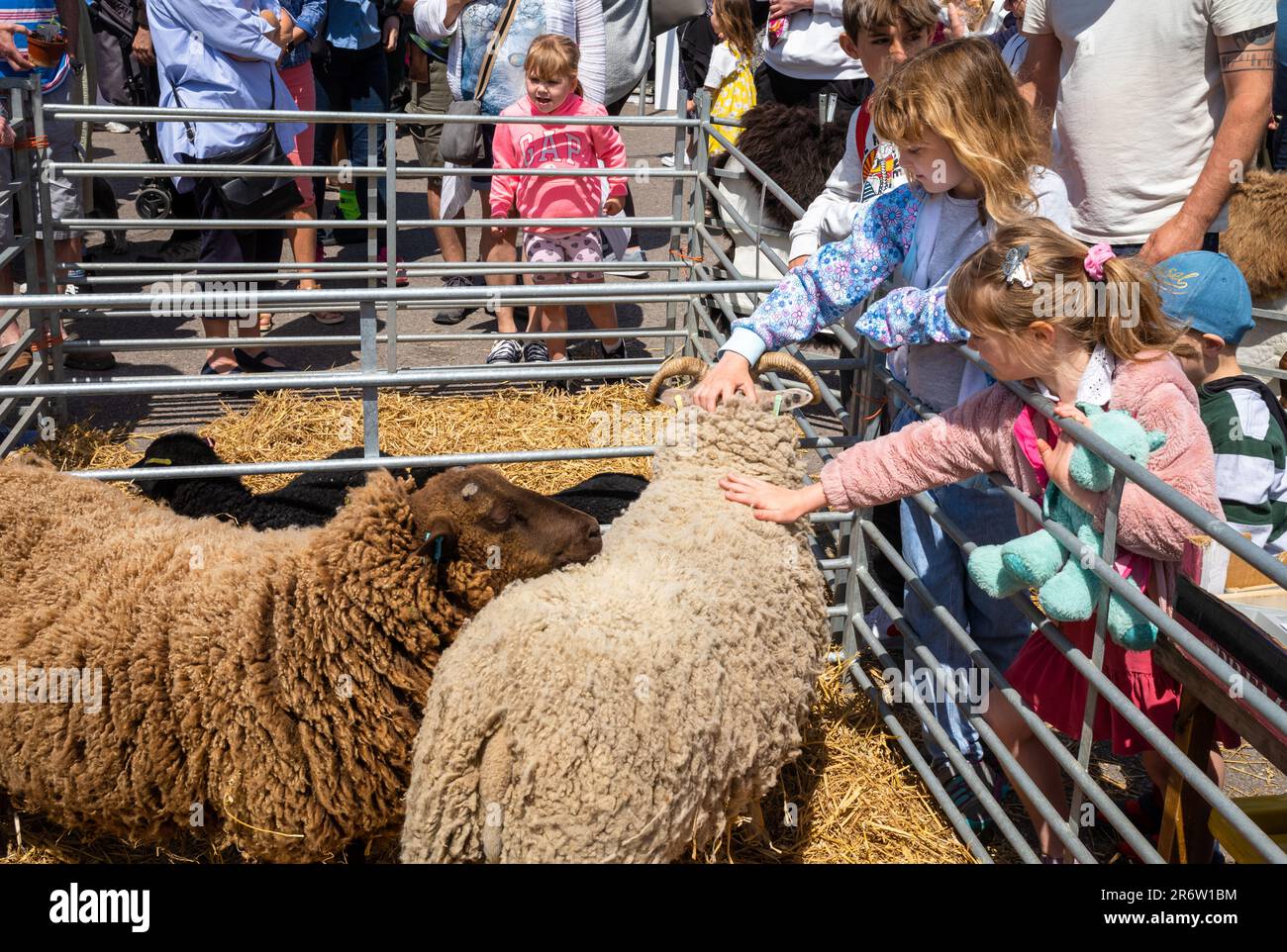 Los niños acarician ovejas en la feria anual Steyning Country Fayre en West Sussex, Reino Unido. Foto de stock