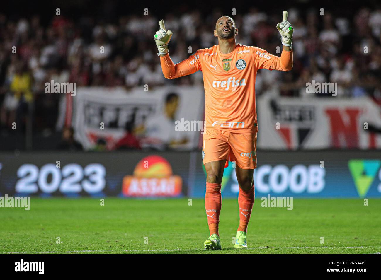 AQUI ESTÁ WEVERTON Y SUS MEJORES ATAJADAS EN EL #BRASILEIRAO 