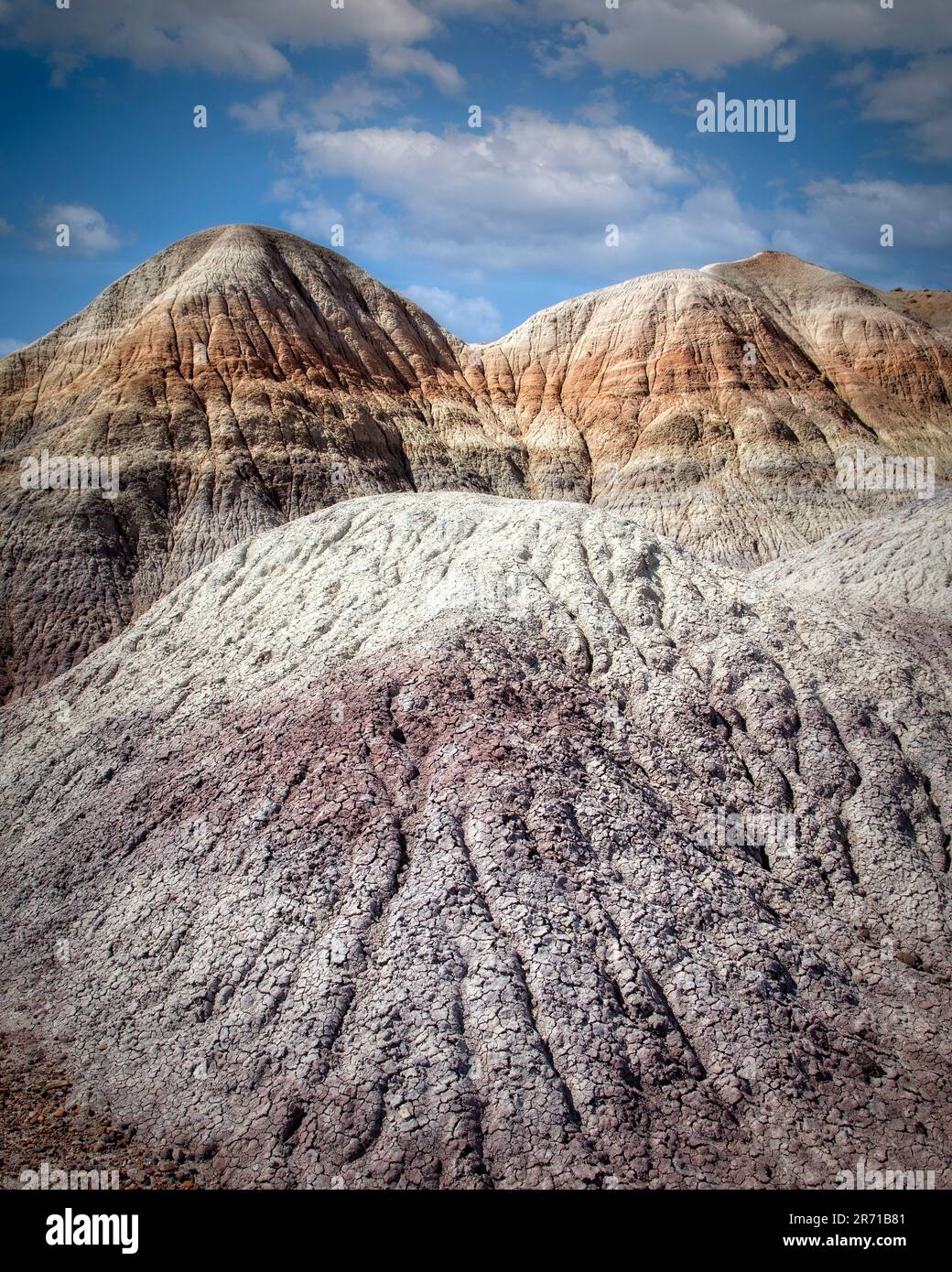 Sedimento envejecido de la Mesa Azul en el área de Bosque Azul del Parque Nacional Bosque Petrificado, Arizona. Foto de stock