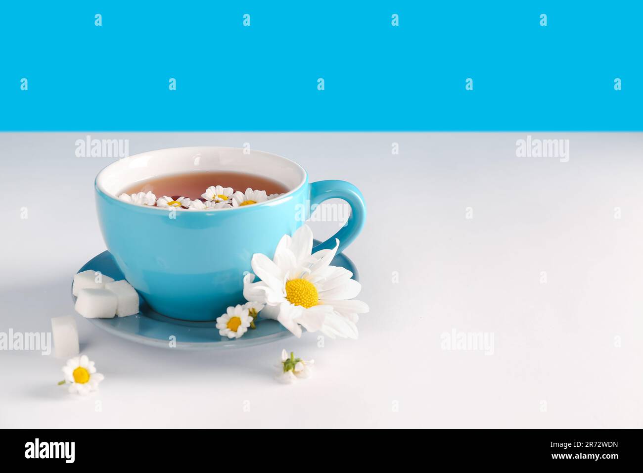 Taza de té de manzanilla natural y flores en la mesa blanca cerca de la  pared azul Fotografía de stock - Alamy