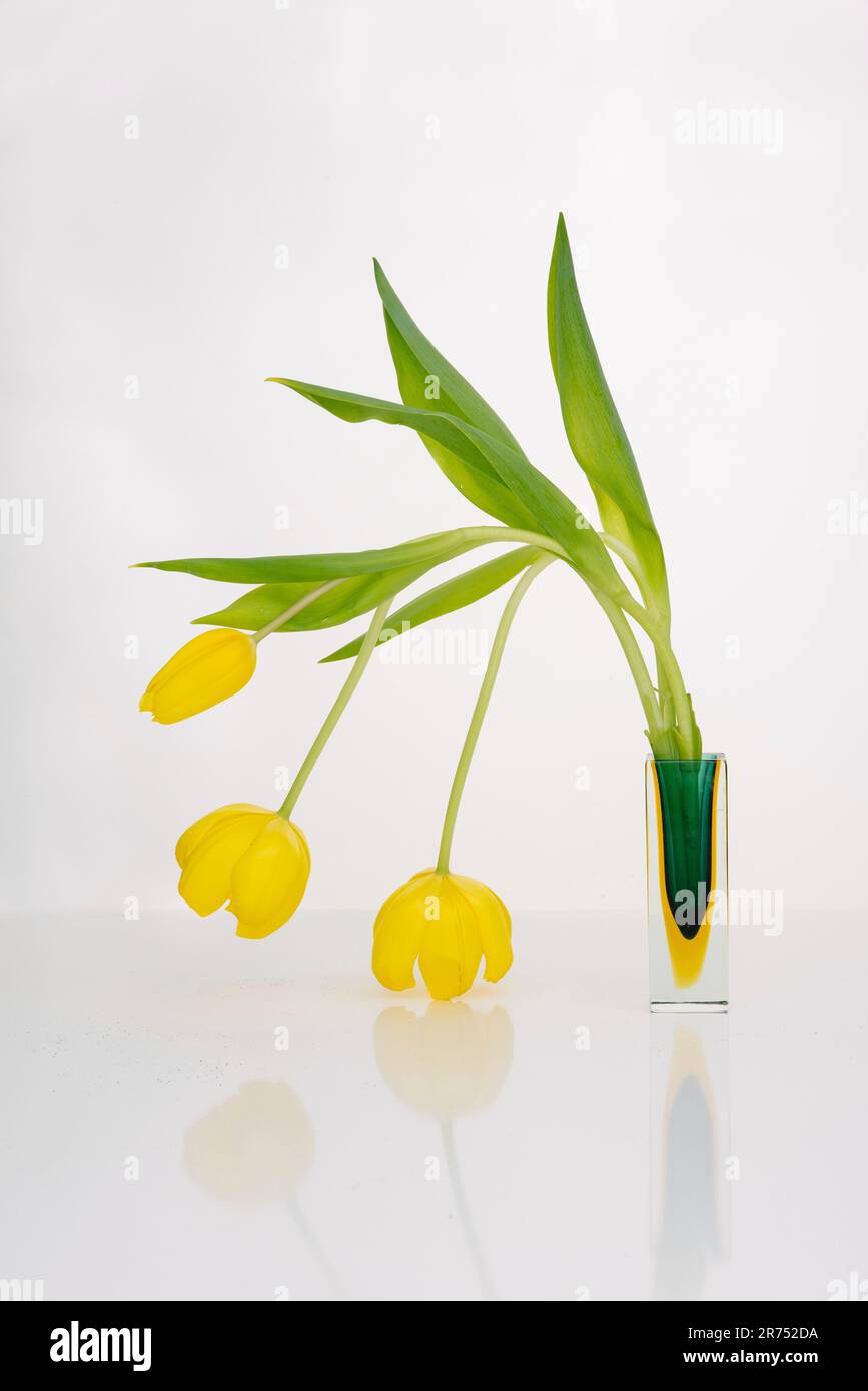 Tulipanes - Lámpara de cristal de Murano