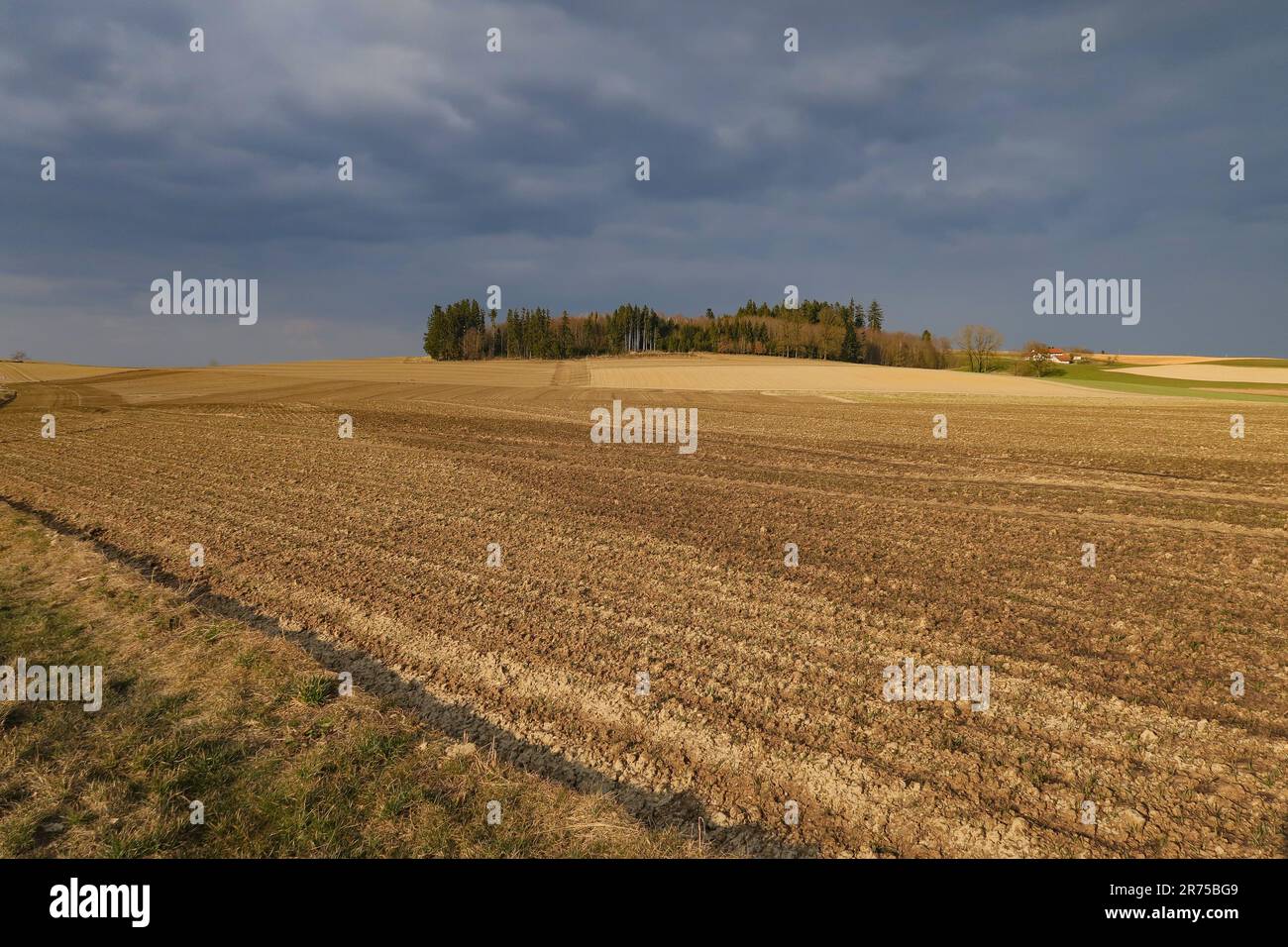 Paisaje agrícola despejado, suelo crudo expuesto a los elementos, Alemania, Baviera Foto de stock