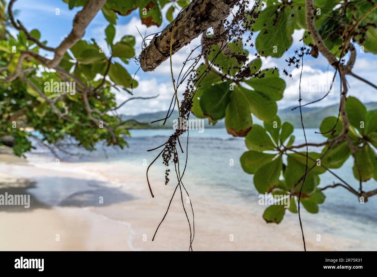 América del Norte, Caribe, Antillas Mayores, Isla de La Española