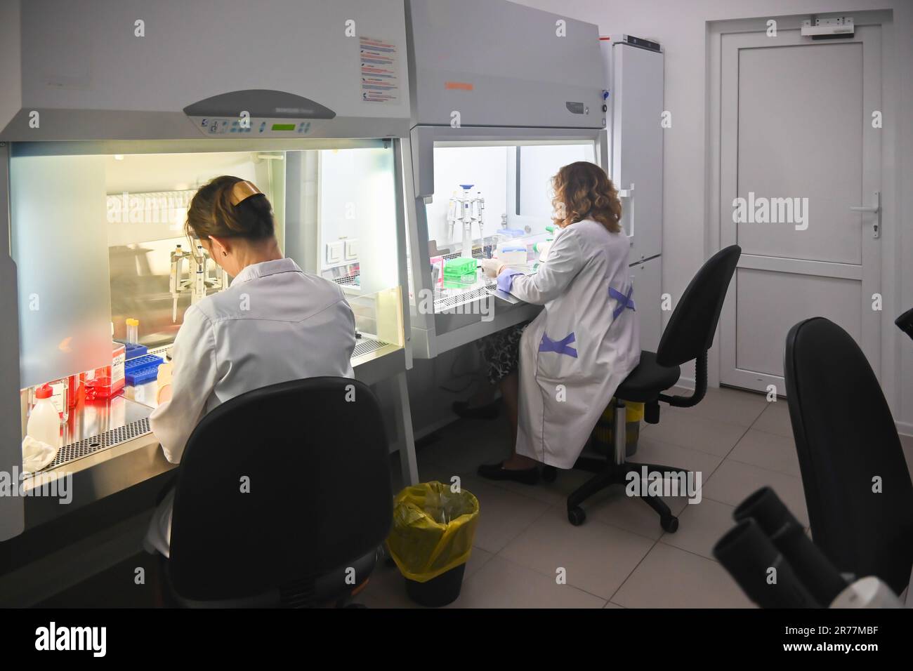 Investigador de cultivo celular en el laboratorio. Trabajar en una caja de celdas. Foto de stock