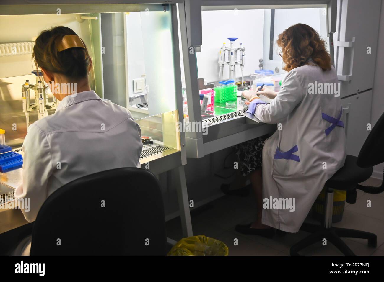 Investigador de cultivo celular en el laboratorio. Trabajar en una caja de celdas. Foto de stock