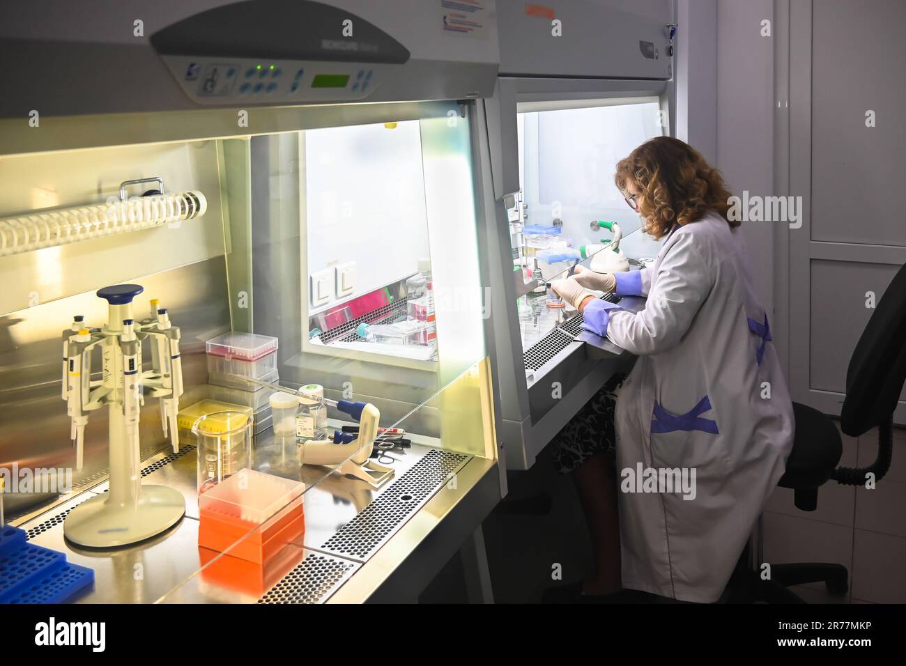 Investigador de cultivo celular en el laboratorio. Trabajar en una caja de celdas. Foto de stock