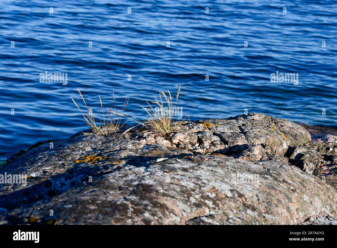 Orilla rocosa junto al Mar Báltico en Finlandia Foto de stock