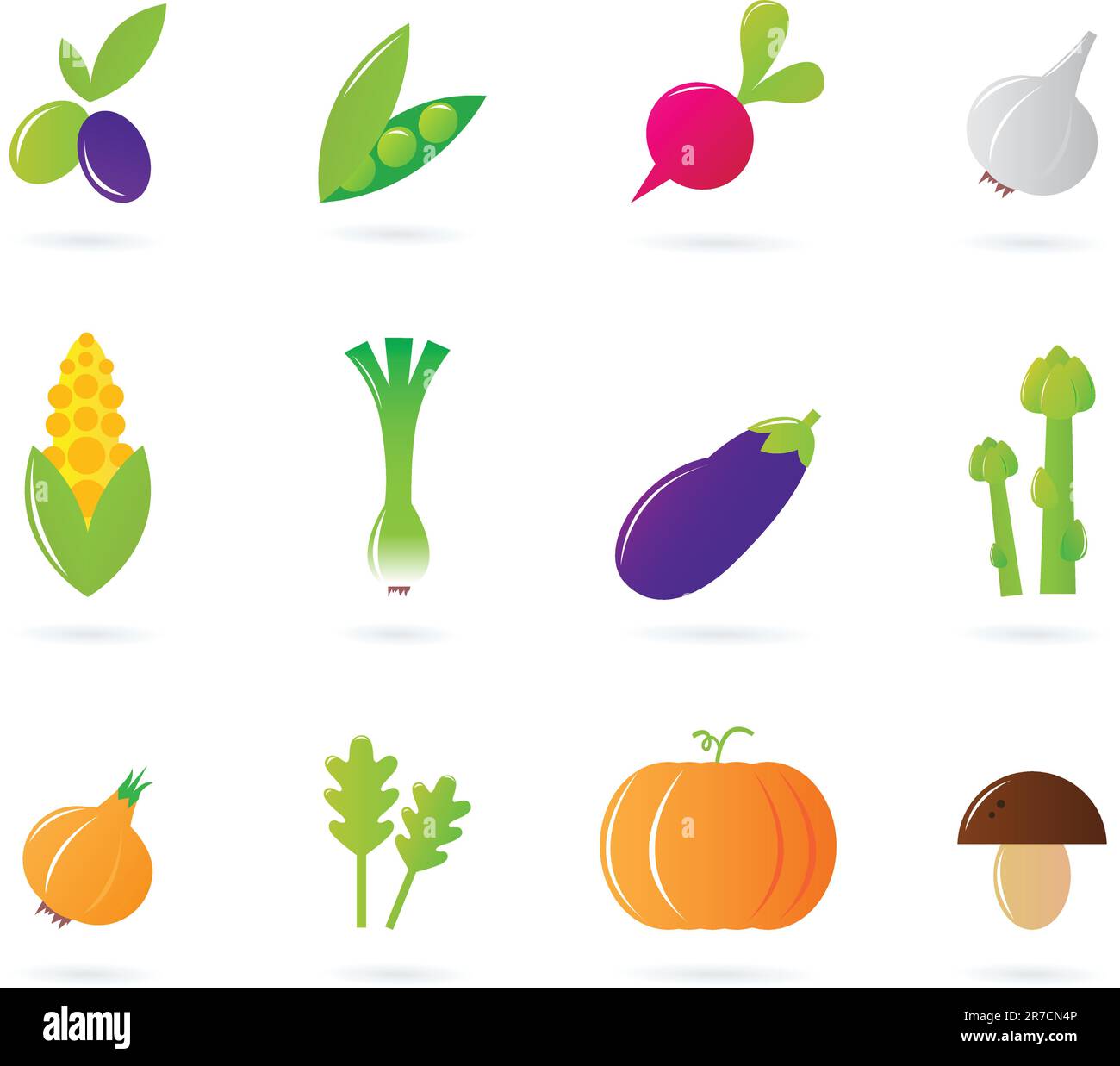 12 serie vegetal - iconos vectoriales. Ilustración del Vector