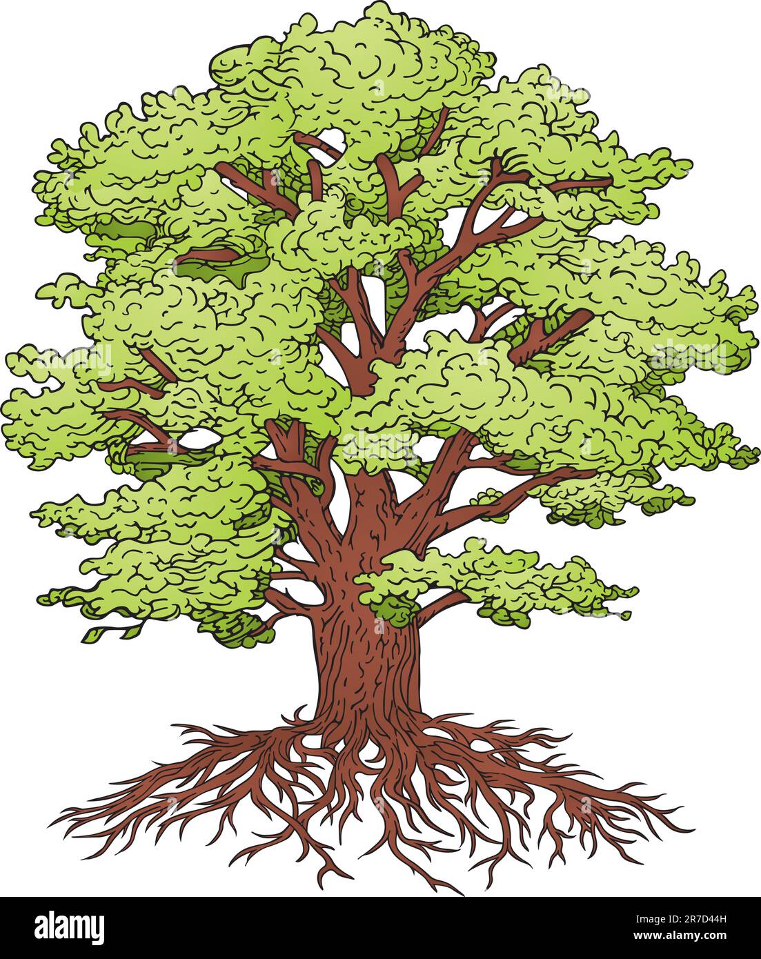 Vector de árbol Ilustración del Vector