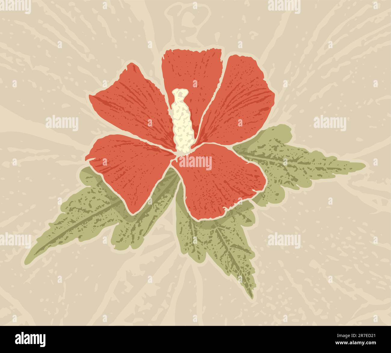 Flor roja del hibisco con sombreado del grunge sobre fondo beige del grunge. Ilustración del Vector