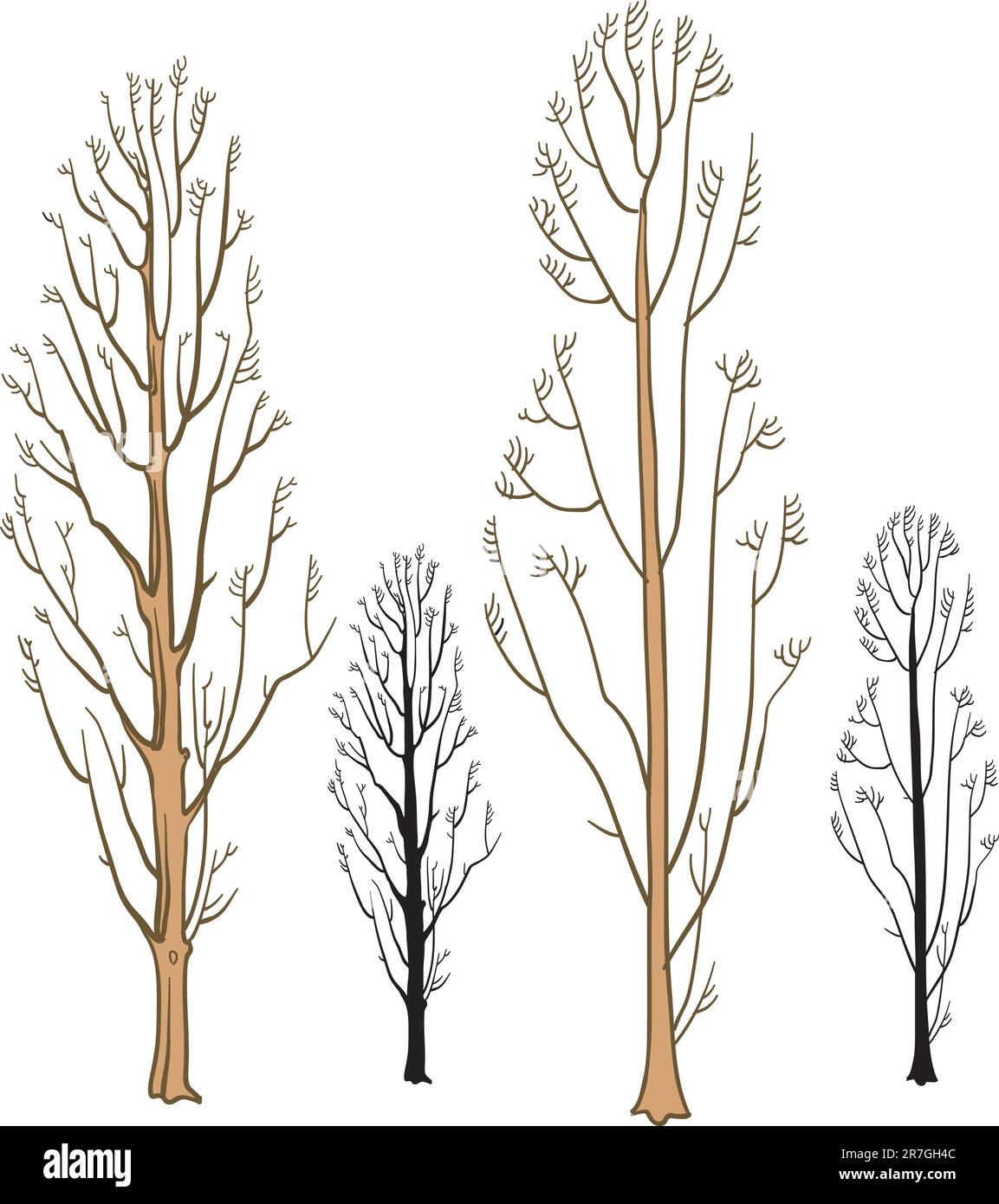 Árbol Ilustración del Vector