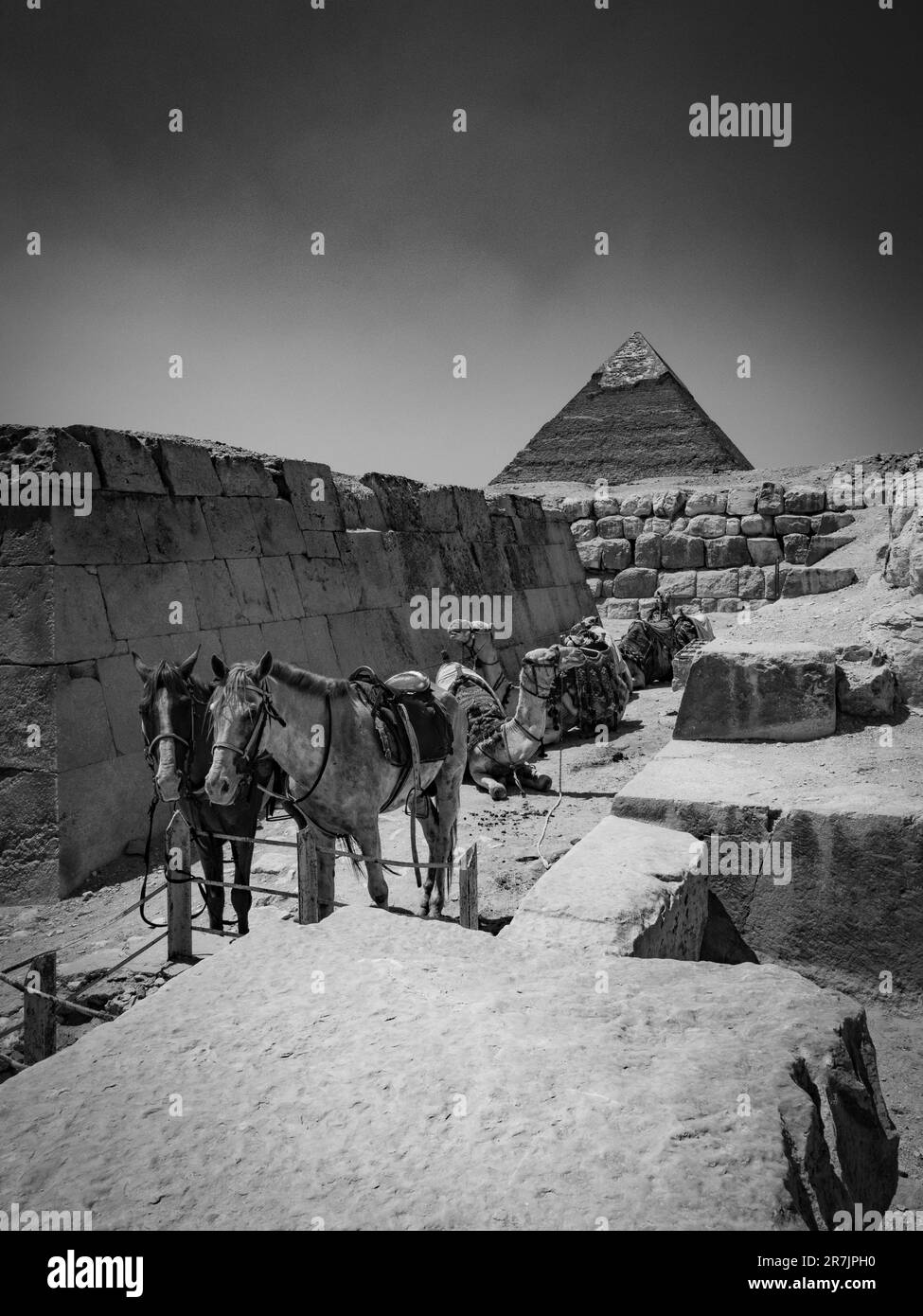 Las pirámides icónicas de Egipto y la historia antigua cobran vida en Monoc Foto de stock