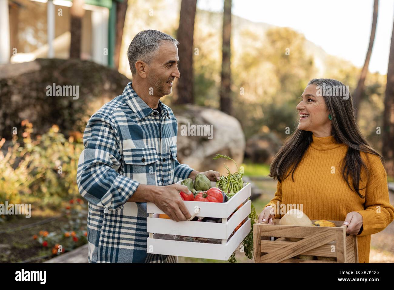 Hombre y mujer llevando cajas con verduras orgánicas recién cosechadas hablando en la granja Foto de stock