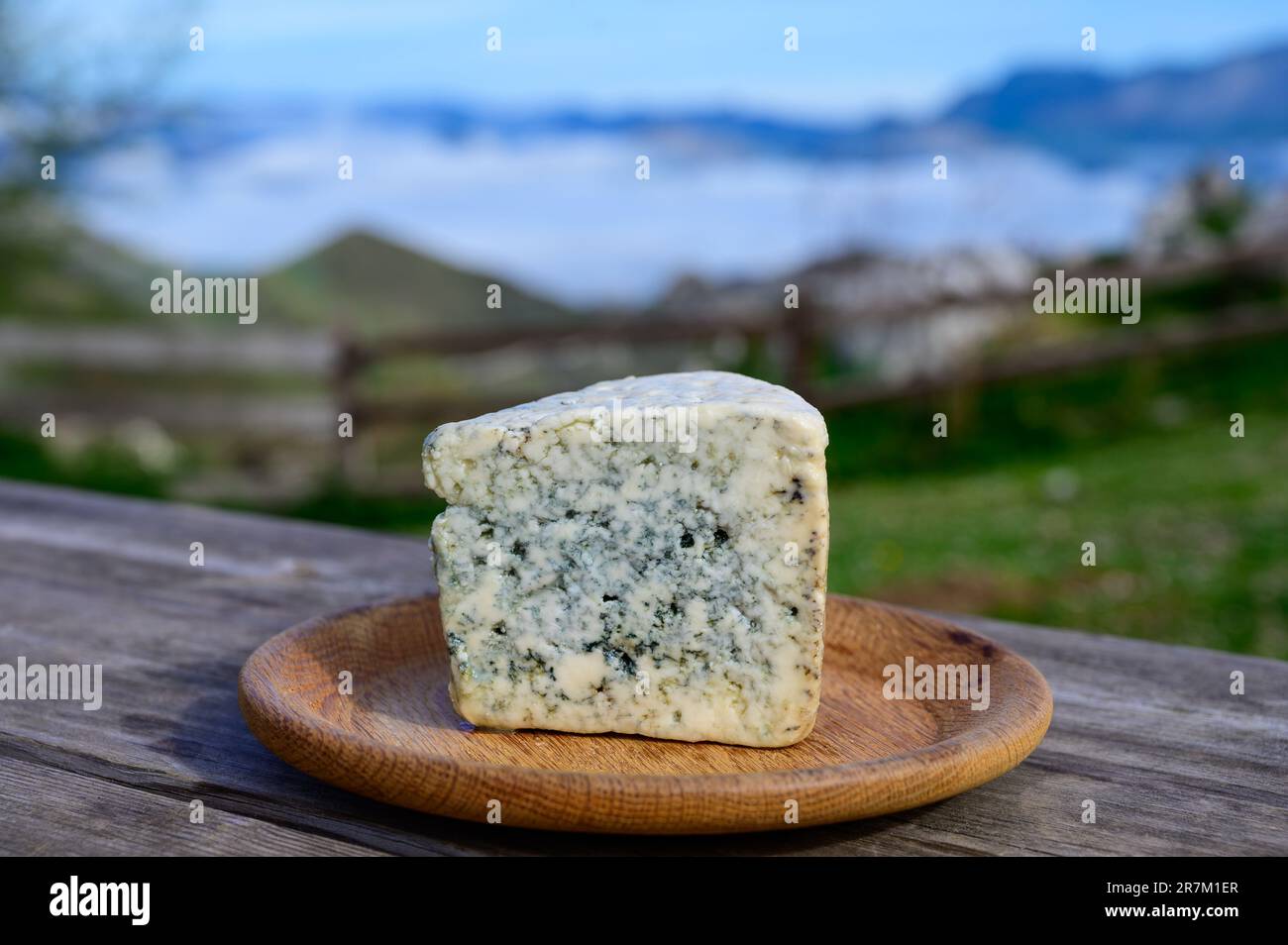 Cabrales, queso azul artesano elaborado por los ganaderos rurales de Asturias a partir de leche
