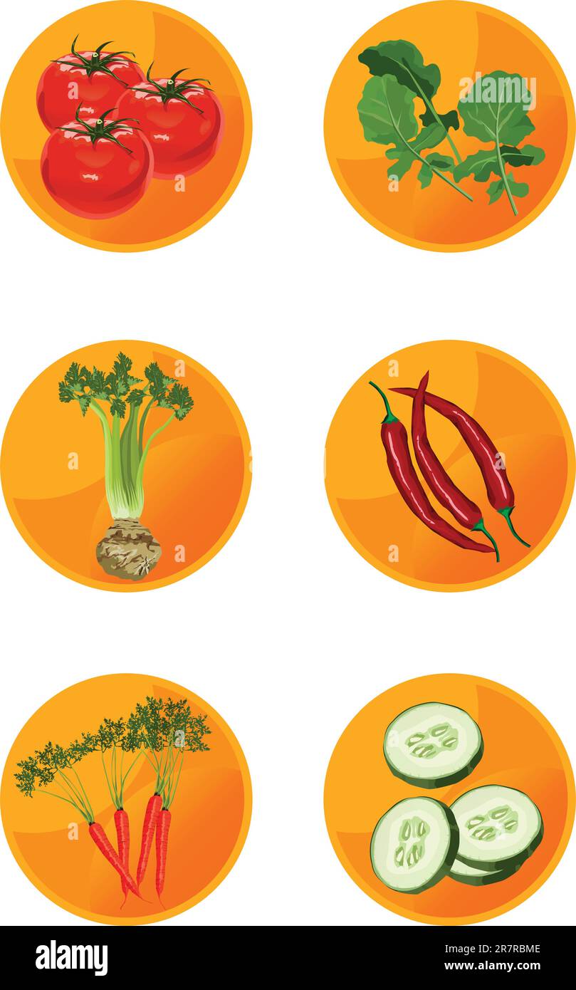 Vector iconos vegetales aislados sobre fondo blanco Ilustración del Vector