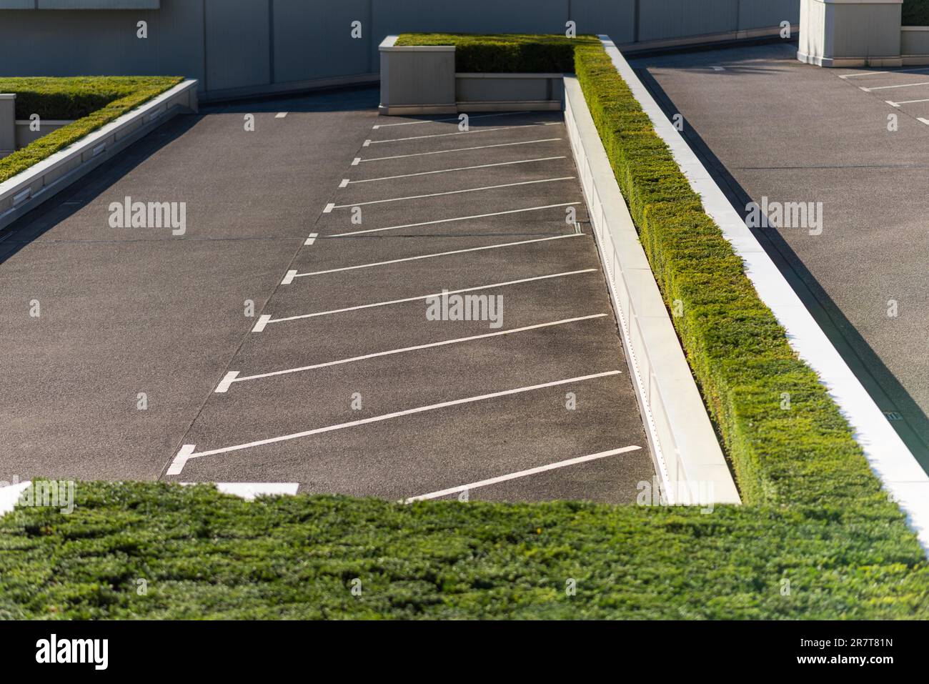 Patrón de aparcamiento diagonal en una plaza de aparcamiento, rodeado de madera de caja en la Ciudad Norte, una ciudad de oficinas prevista en los años sesenta en el norte de Hamburgo Foto de stock