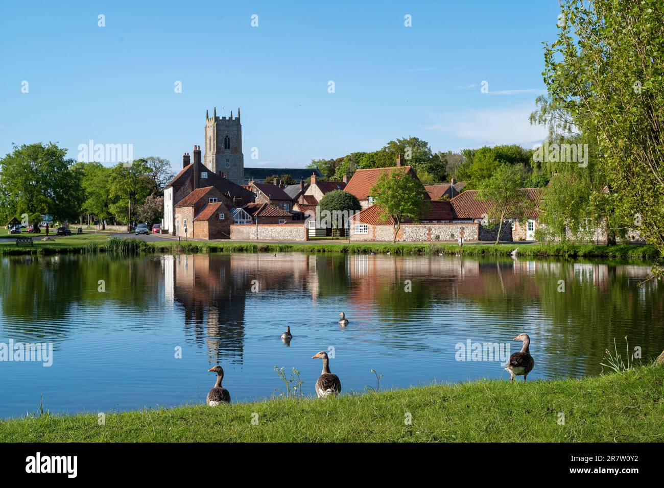 Estanque del pueblo con gansos greylag, Anser anser, y la iglesia en el pintoresco pueblo de Great Massingham en primavera en Norfolk, Inglaterra Foto de stock