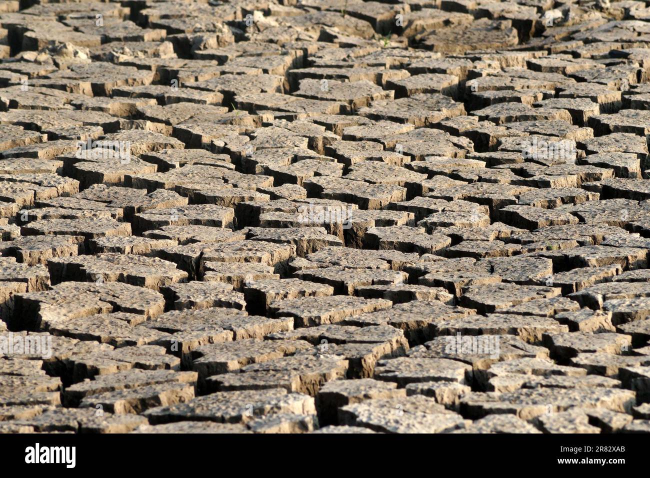 Tierra agrietada seca como fondo o textura Foto de stock