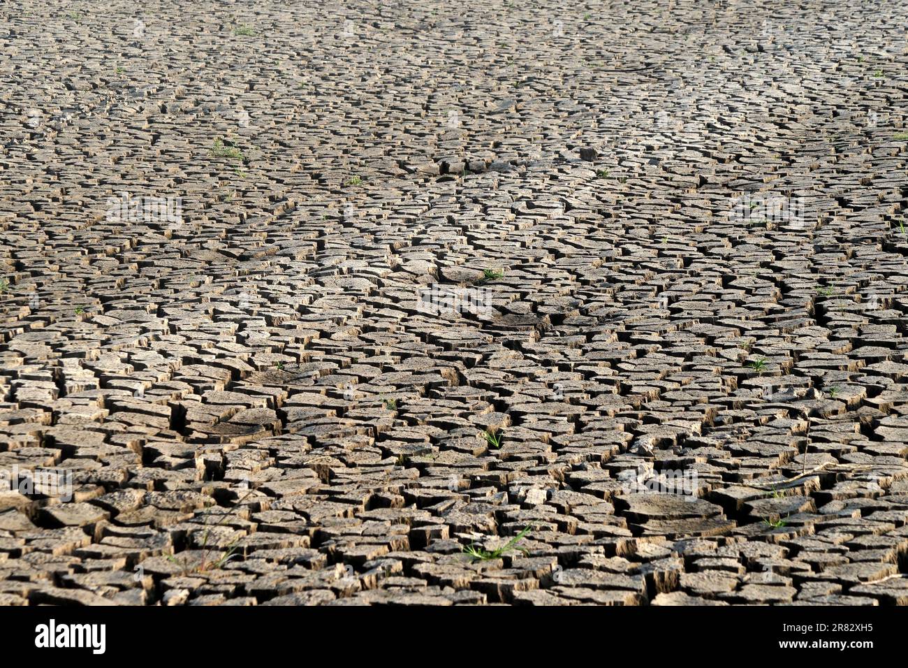 Tierra agrietada seca como fondo o textura Foto de stock