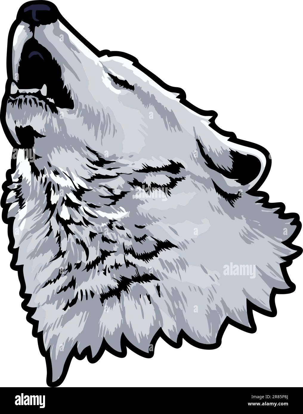 Ilustración de la cara del lobo. Salvaje. Cara. Vector Ilustración del Vector