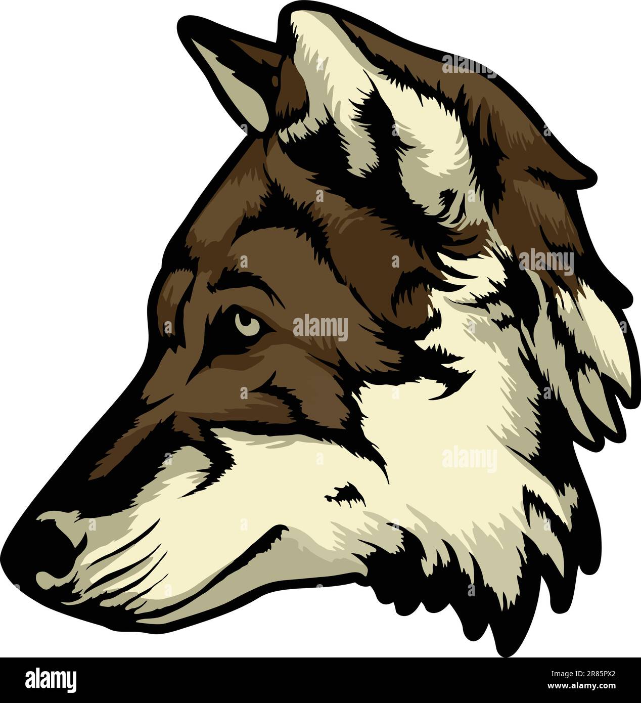 Ilustración de la cara del lobo. Salvaje. Cara. Vector Ilustración del Vector