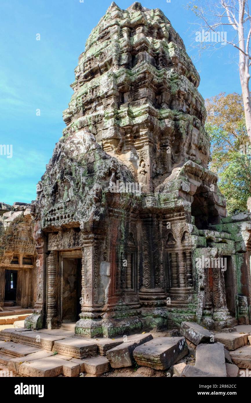 Los turistas se sienten atraídos por el encanto envejecido de la torre de piedra en Ta Prohm, un testimonio de la antigua destreza arquitectónica jemer en el país camboyano Foto de stock