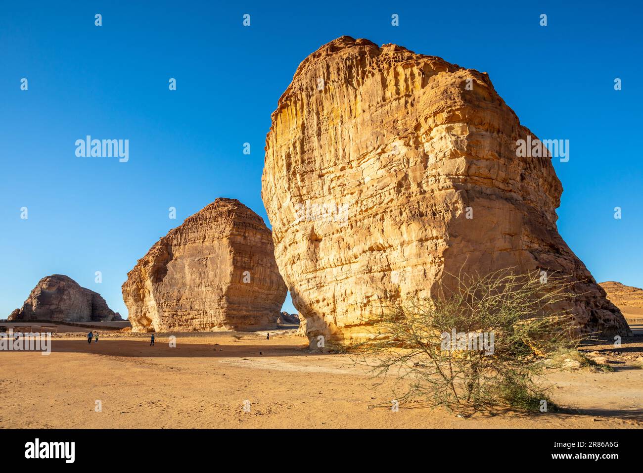 Monolito de erosión de roca de elefante de arenisca en el desierto, Al Ula, Arabia Saudita Foto de stock