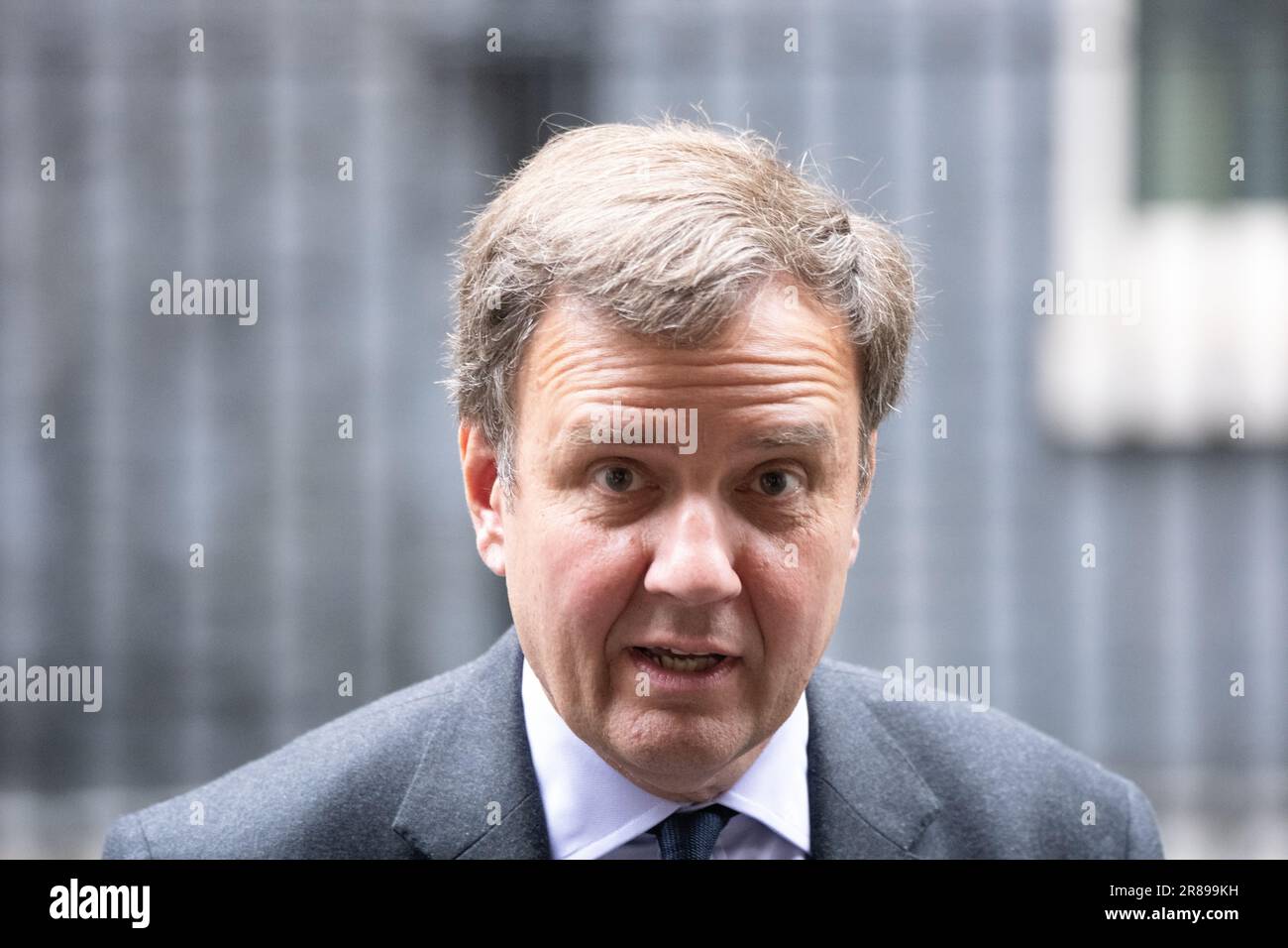 Londres, Reino Unido. 2023 de junio. Greg Hands, Presidente del Partido Conservador, en una reunión de gabinete en el 10 de Downing Street de Londres. Crédito: Ian Davidson/Alamy Live News Foto de stock