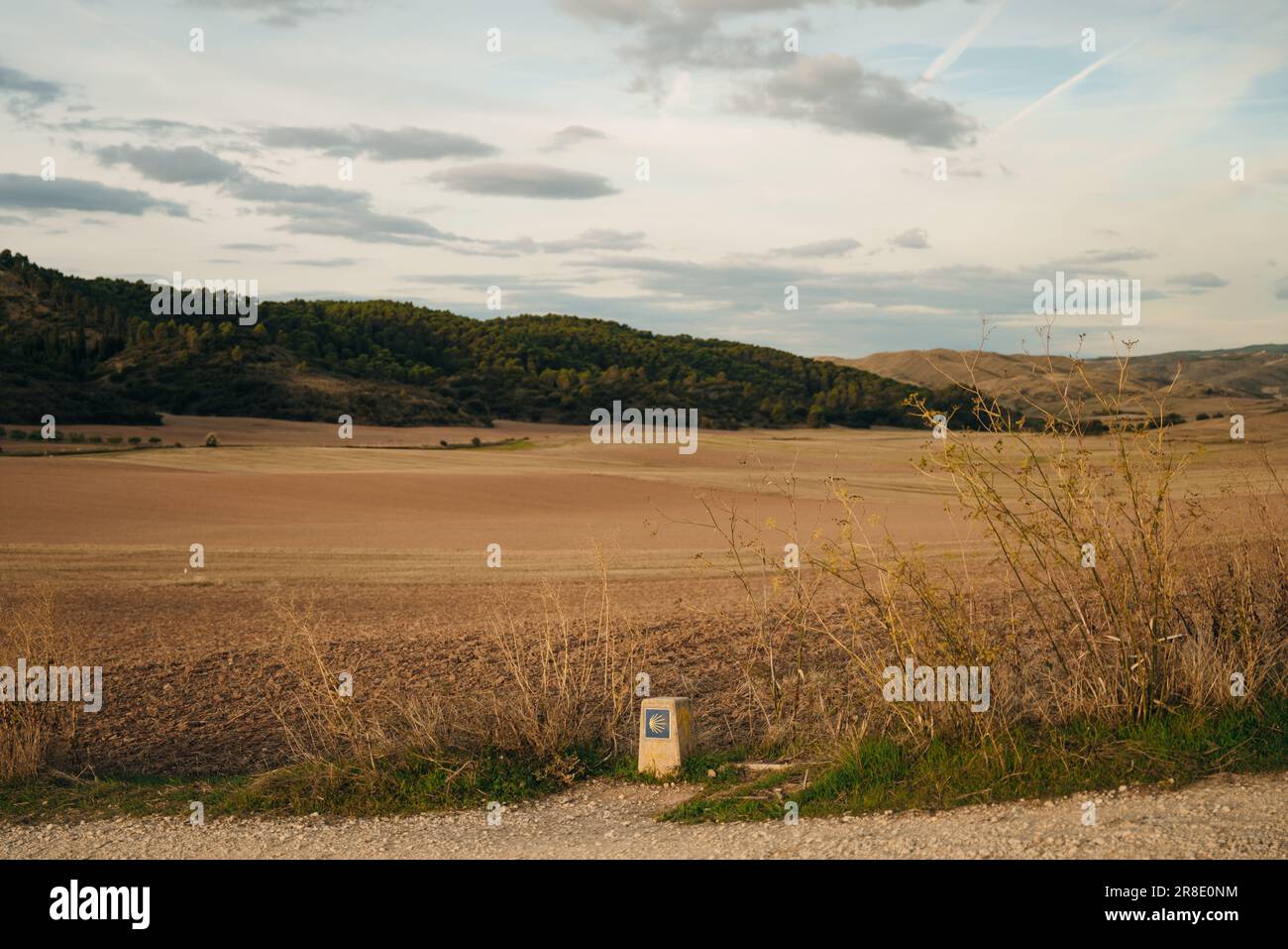 El tótem de señalización vial con concha amarilla y flecha, que guía a