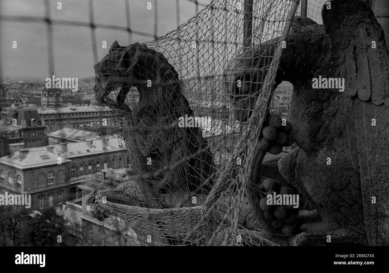 Francia, París, 24.03.1990, criaturas míticas en las torres de Notre-Dame Foto de stock