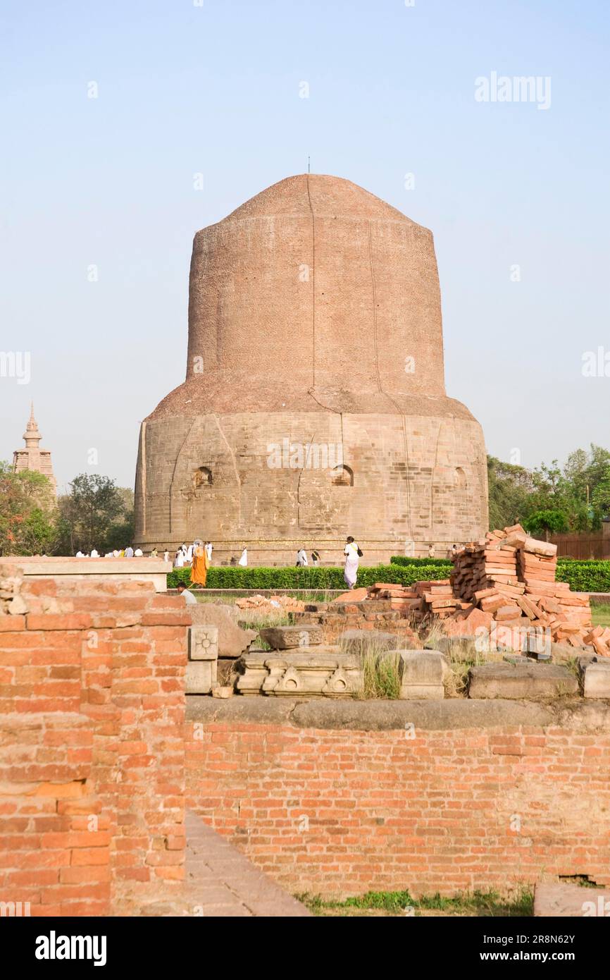 Dhamekh Stupa, Isipatana Deer Park, Sarnath, Uttar Pradesh, India Foto de stock