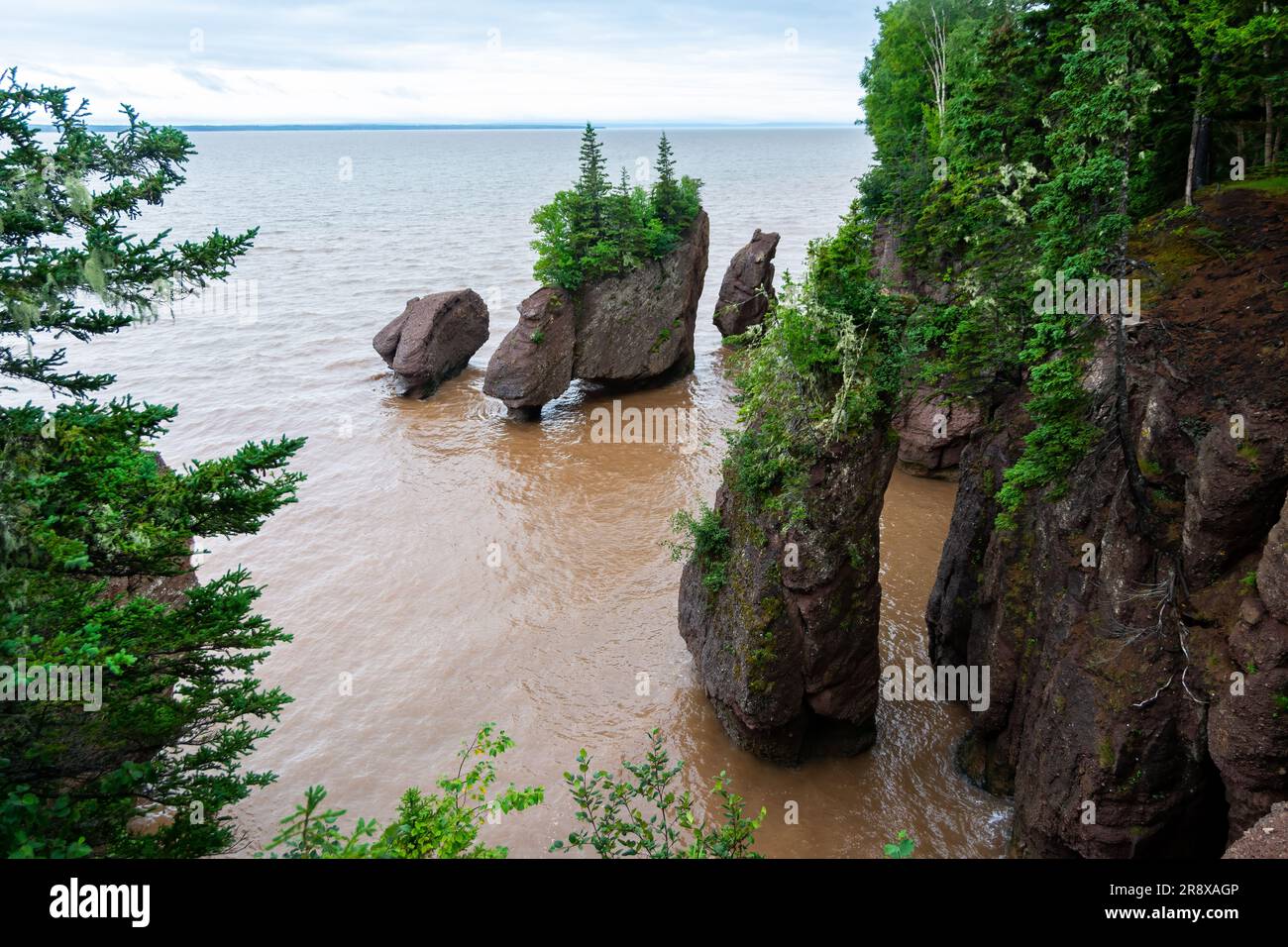 La bahía de Fundy, New Brunswick.Esta bahía es famosa por tener las