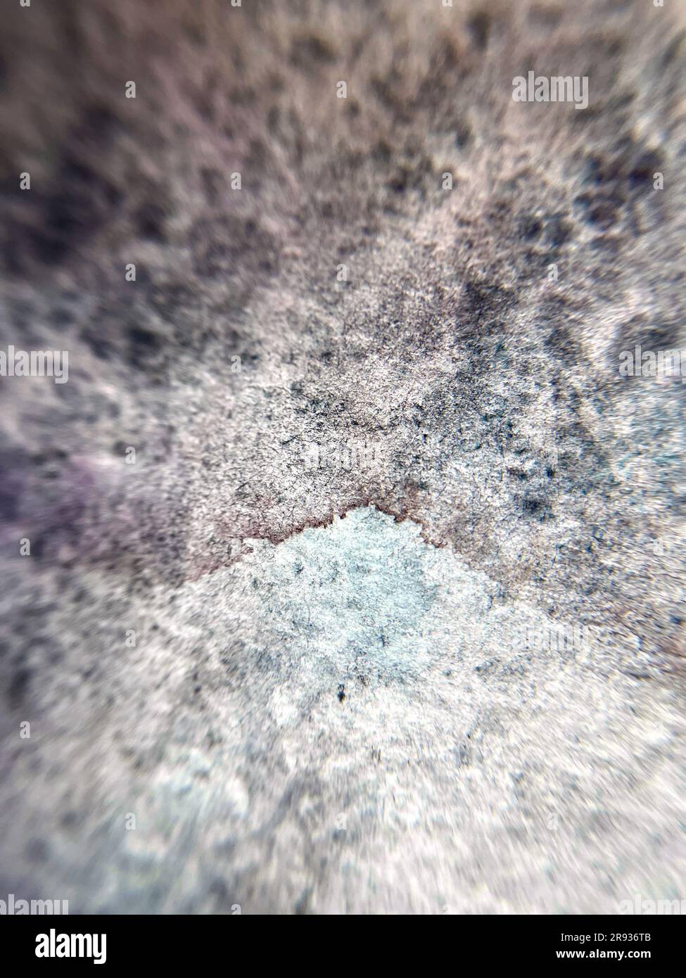 Acuarela azul marino negro marrón granulación abstracta grunge textura de fondo macro foto. Foto de stock