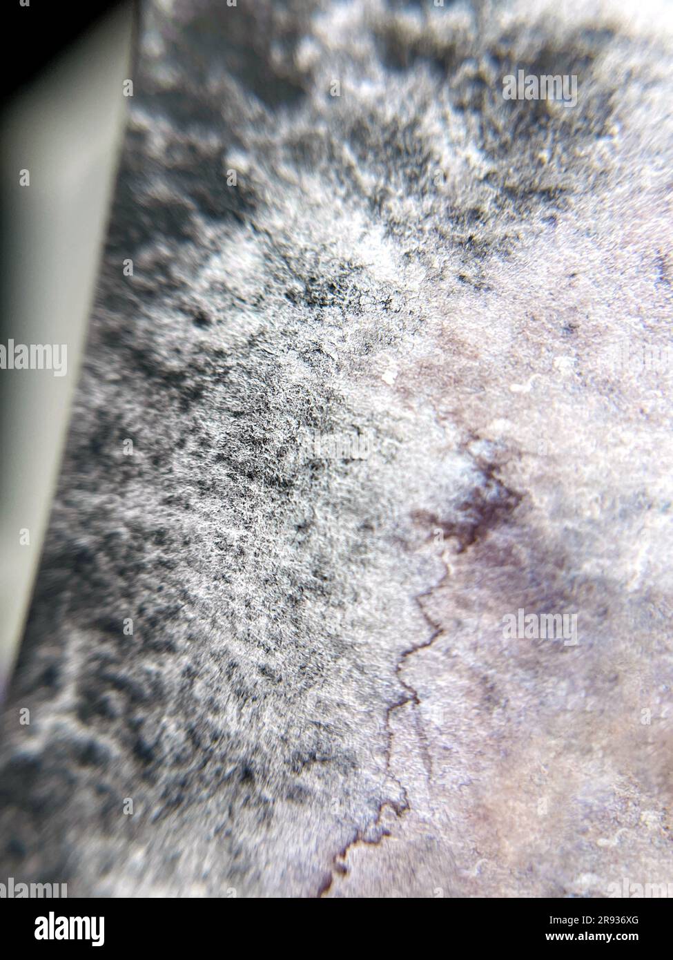 Acuarela azul marino negro marrón granulación abstracta grunge textura de fondo macro foto. Foto de stock