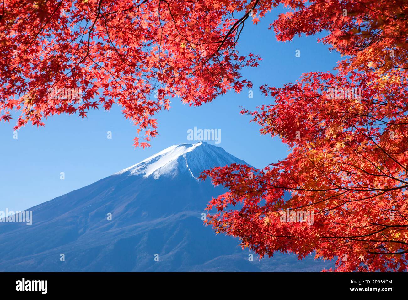 Color de otoño y Mt. Foto de stock