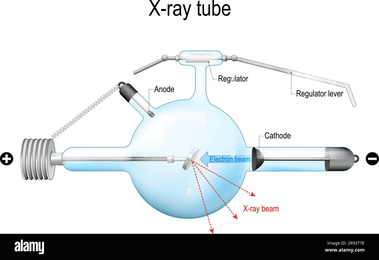 Tubo de rayos X Crookes. diagrama esquemático estructural de un tubo de rayos x que se utiliza para radioterapia, radiografía médica y seguridad aeroportuaria. Diagnóstico Ilustración del Vector