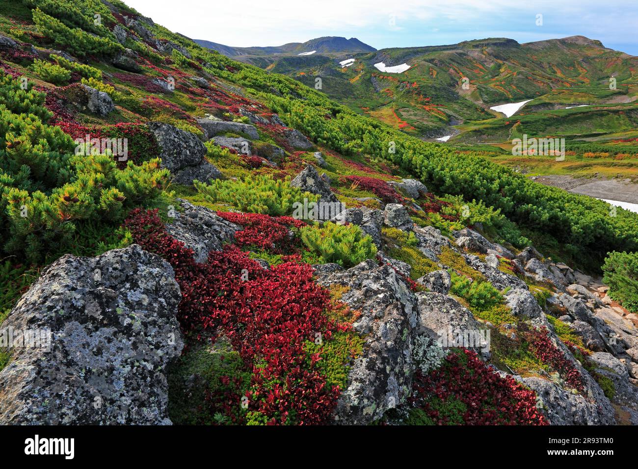 Vista del Monte Hakuundake y las hojas de la alpina del Ártico que se vuelven rojas durante el otoño desde Kurodake (Cordillera Taisetsuzan) Foto de stock