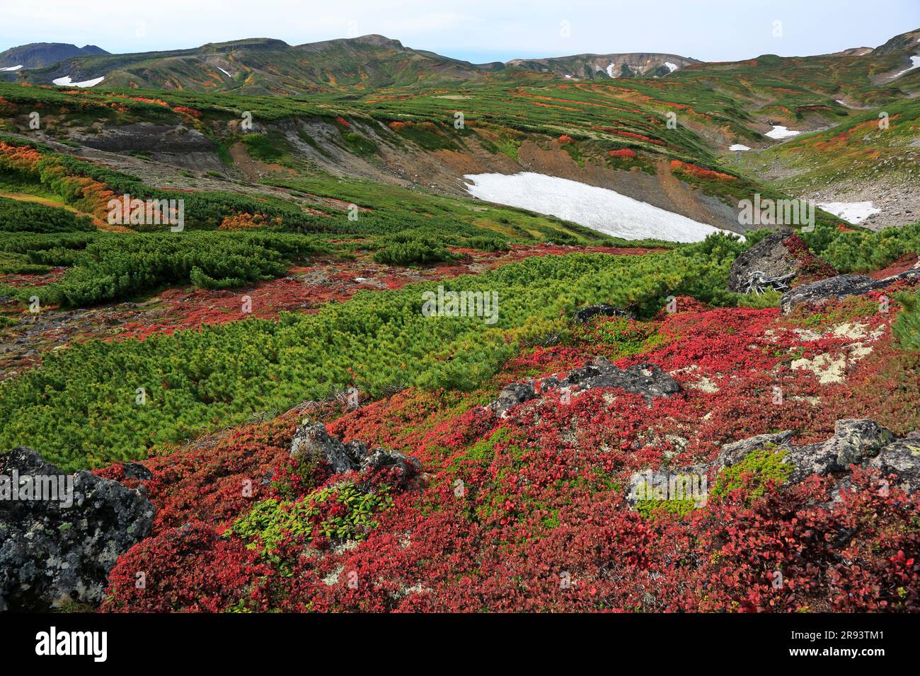 Vista del monte Hokkaidake y los colores otoñales de las plantas con flores de Vaccinium uliginosum de la cabaña Kurodake ishimuro y las cordilleras Taisetsuzan Foto de stock