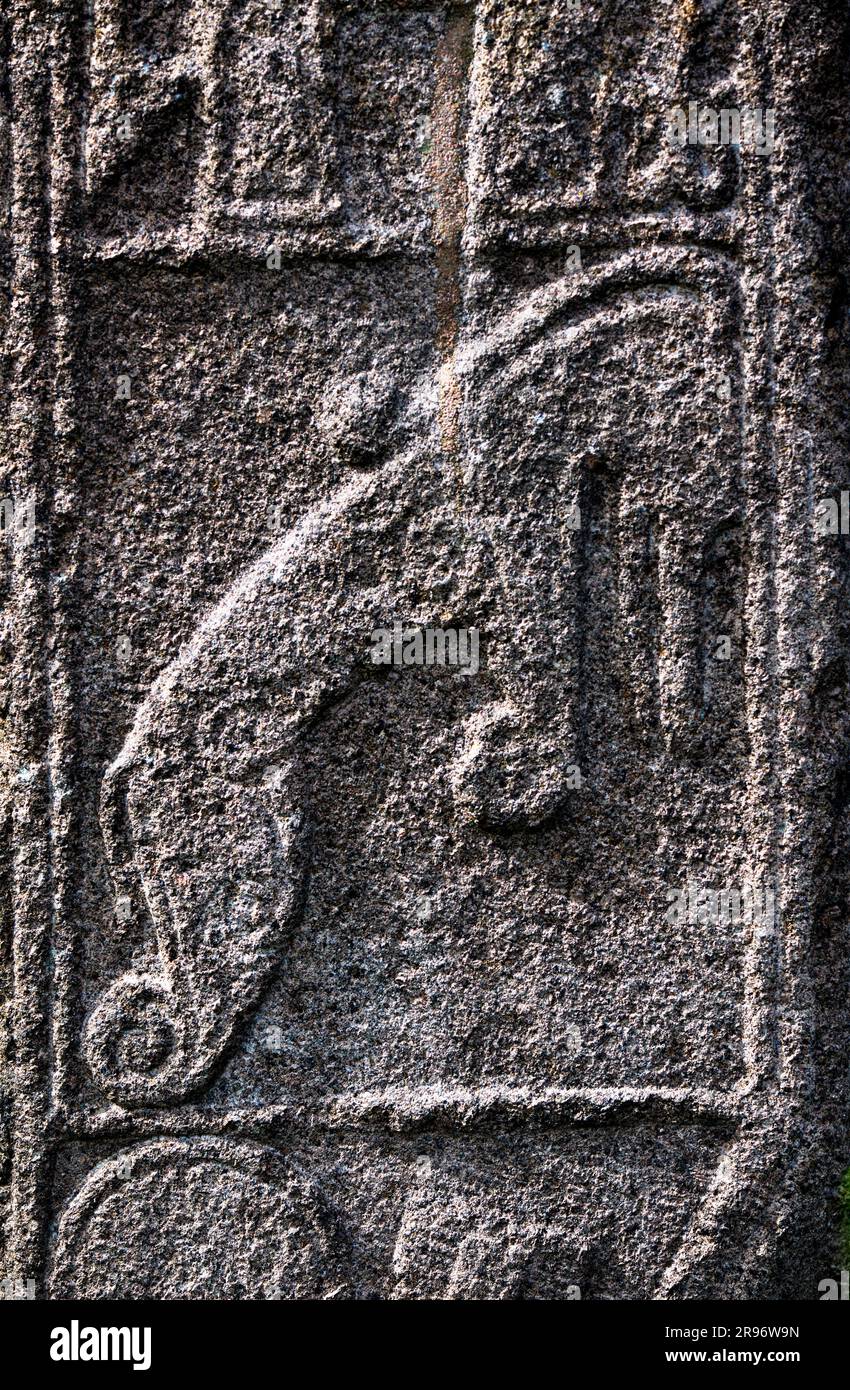 La piedra doncella. Pictish 9º C. Losa de cruz cristiana. Panel de cara oriental con motivo de bestia pictish. Capilla de Garioch, región de Grampian, Escocia Foto de stock