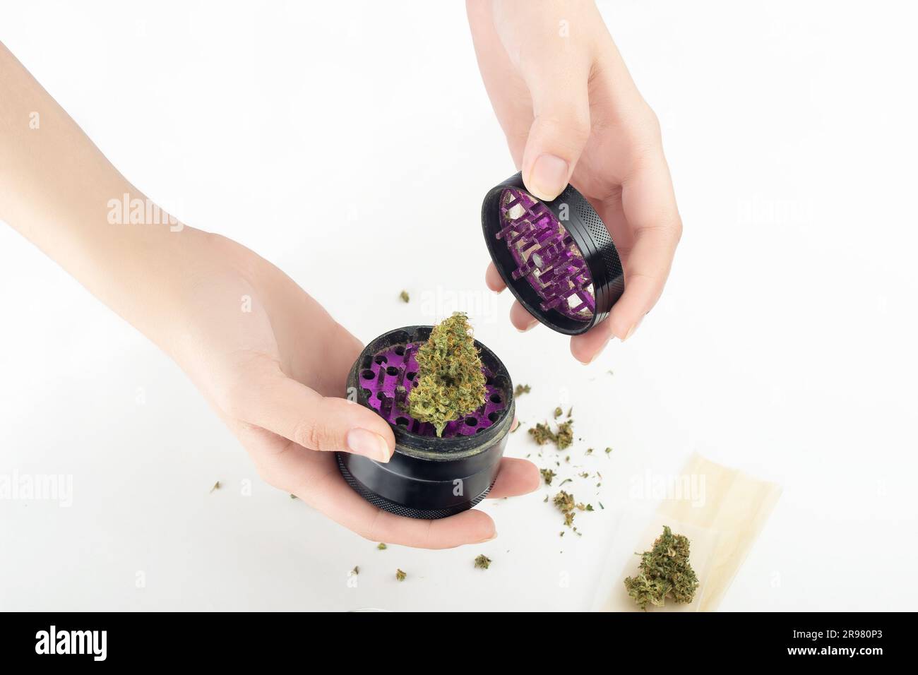 En manos femeninas, un grinder con un brote seco de marihuana medicinal. Las piezas de cannabis se dispersan sobre un fondo blanco, junto al papel para el joi Foto de stock