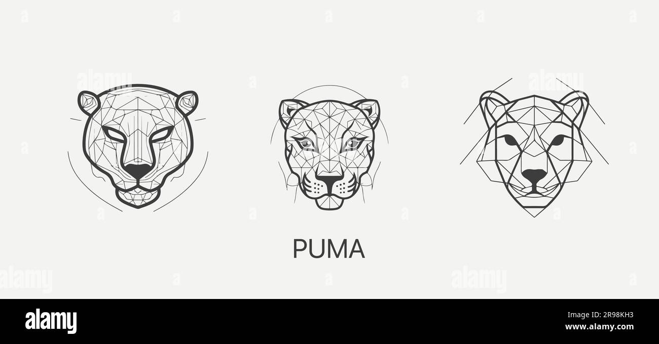 Plantilla de logotipo de vector de cabeza Puma o jaguar abstracto moderno.  Line art logotipo wildcat Imagen Vector de stock - Alamy