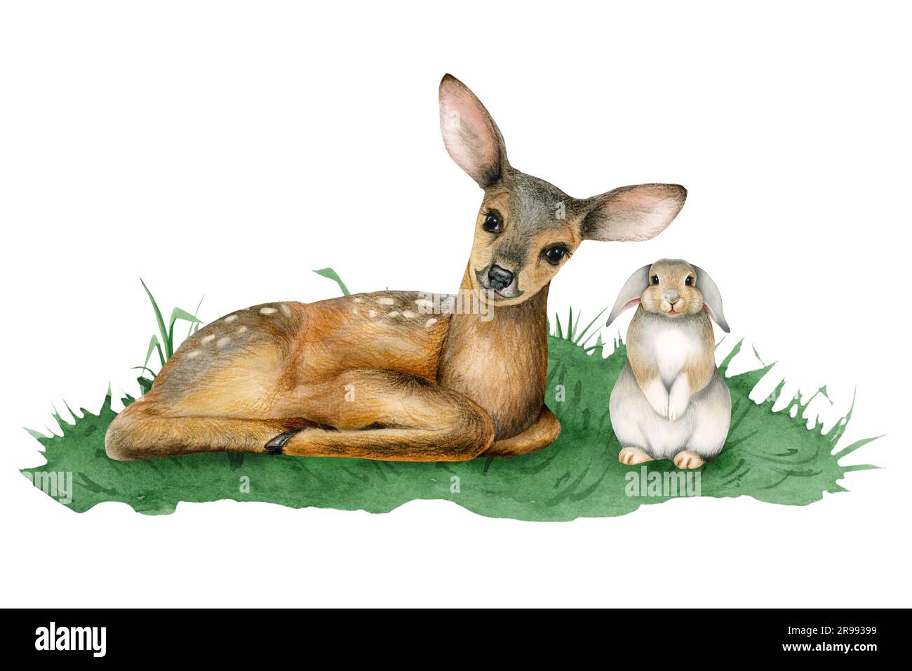 Ciervo bebé y conejo conejo en la ilustración de acuarela de hierba verde de animales lindos del bosque Foto de stock