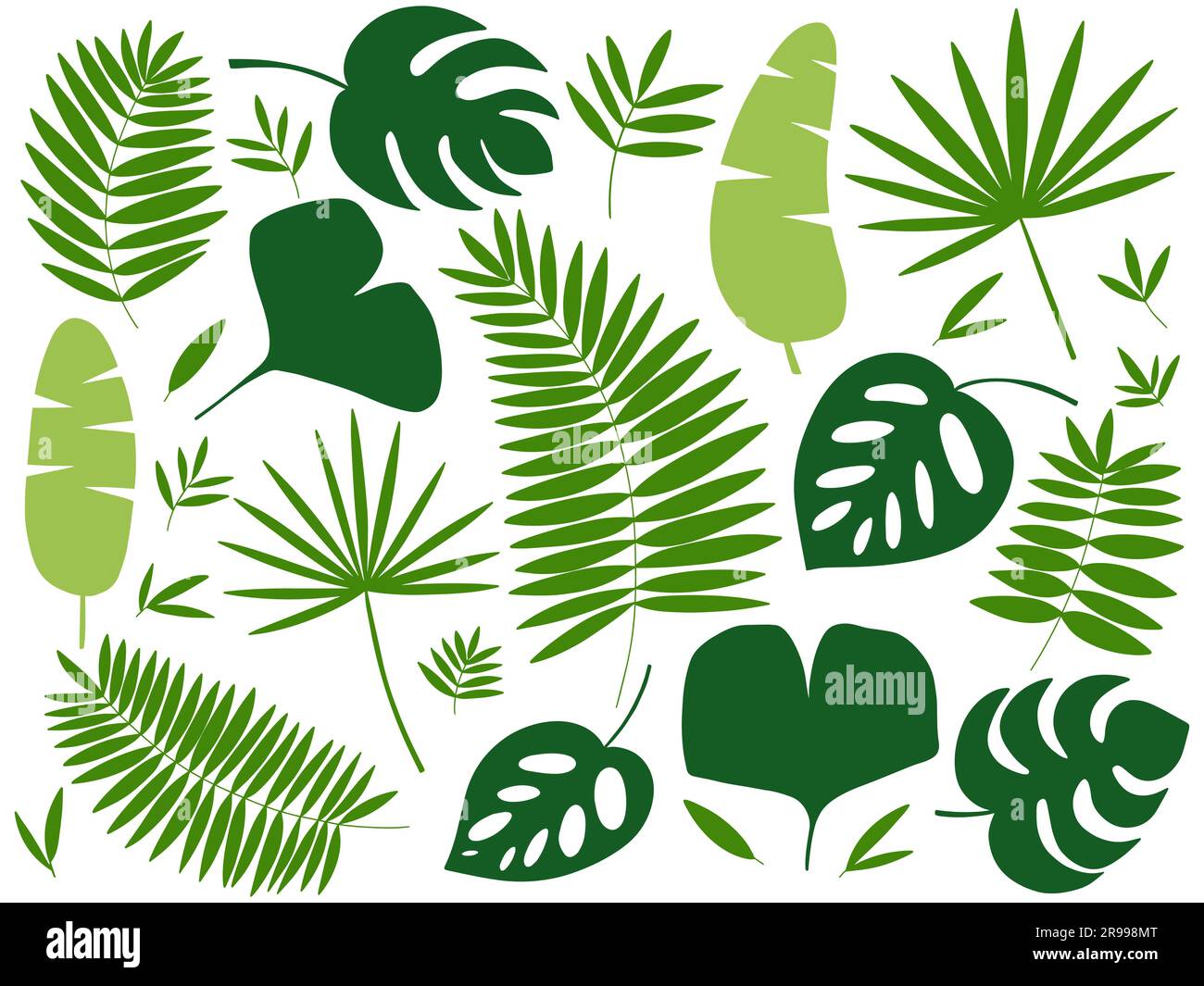 plantas exóticas tropicales con hojas Ilustración del Vector