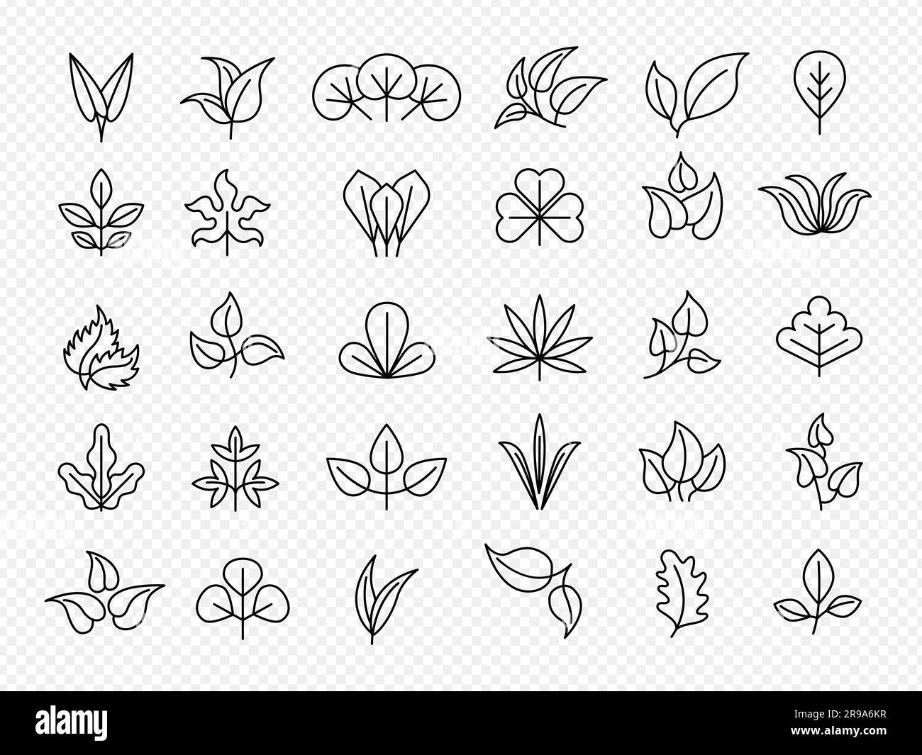 Recopilación de hojas. Iconos lineales de hojas naturales estilizadas
