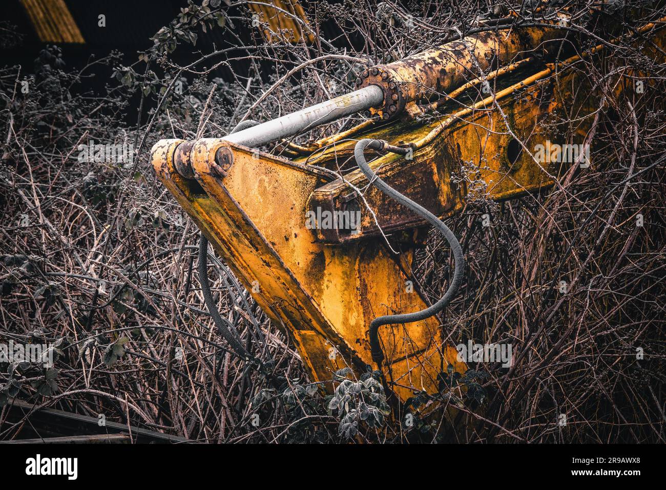 Viejo excavador amarillo abandonado en un jardín sobre un helado por la mañana Foto de stock