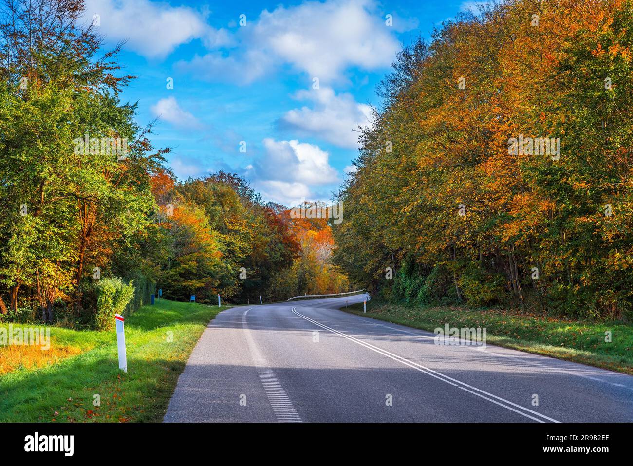 Carretera con una curva rodeado por árboles en otoño Foto de stock