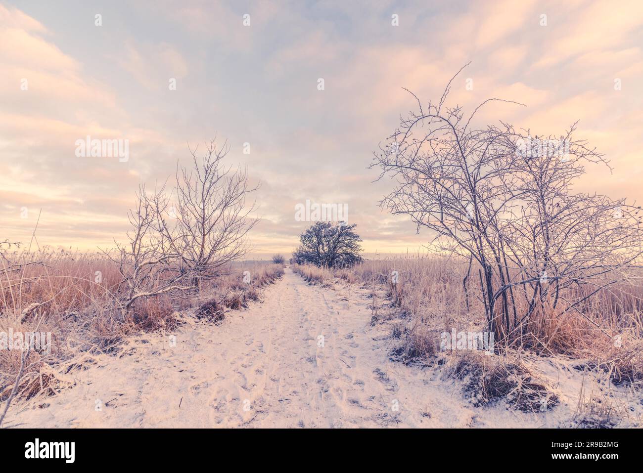 Paisaje nevado de invierno con una ruta por la mañana Foto de stock